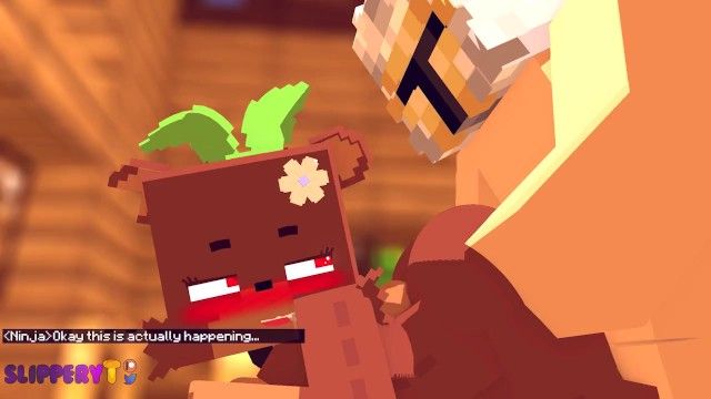 Bia verliert ihre anale Jungfräulichkeit achtzehn Minecraft Animation Original Slipperyt